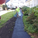 Spreading Seed Around Disturbed Areas