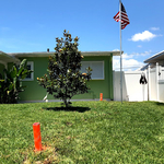 Ready for inspection