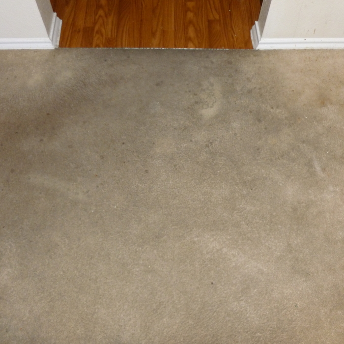 Carpet Cleaning & Shampoo