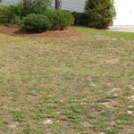 Finished front lawn