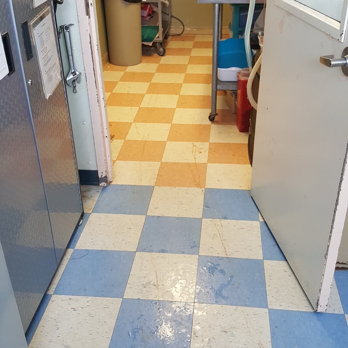 Before, during, and after photos
