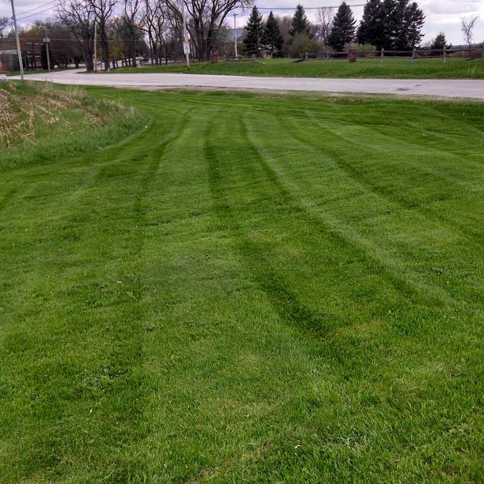 residential lawn