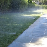 Spray