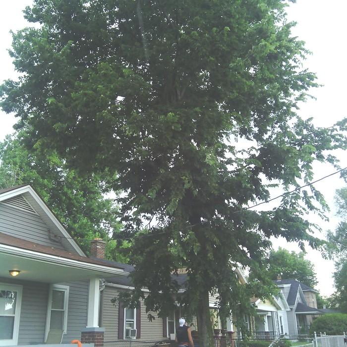 Middletown, Ohio