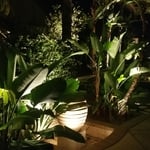 Water Feature Lighting #2