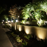 LED Landscape Lighting