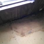 Neighor floor replacement