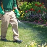 Applying Weed Control