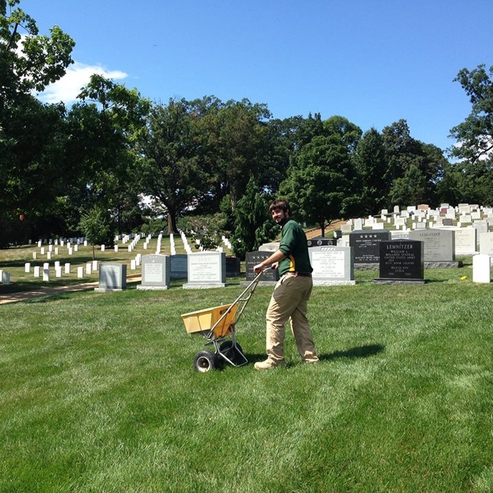 Annual treatment at Arlington National Cemetery