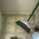 Dryer vent cleanout