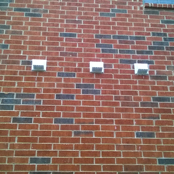 Birds living in broken exhaust fan pipe.