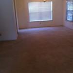 Carpet Cleaning