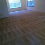 Carpet Cleaning