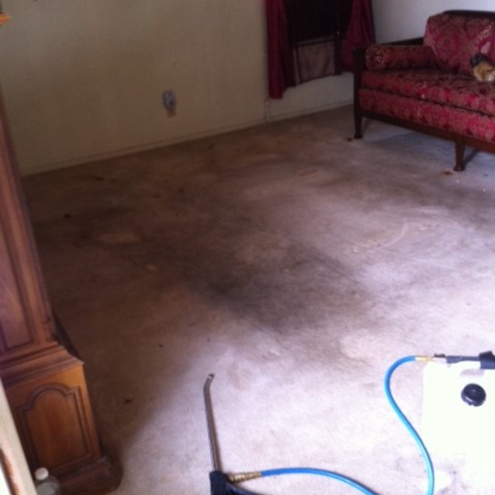 Carpet Cleaning