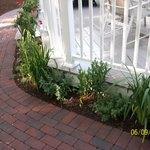 walkway and plantings