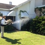 Mosquito treatment
