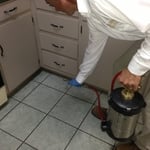 Interior crawling insect control
