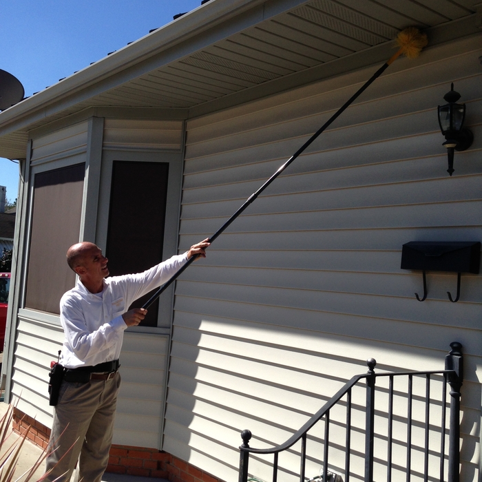 Exterior web removal