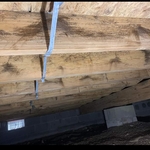 Mold remediation