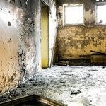 Mold remediation