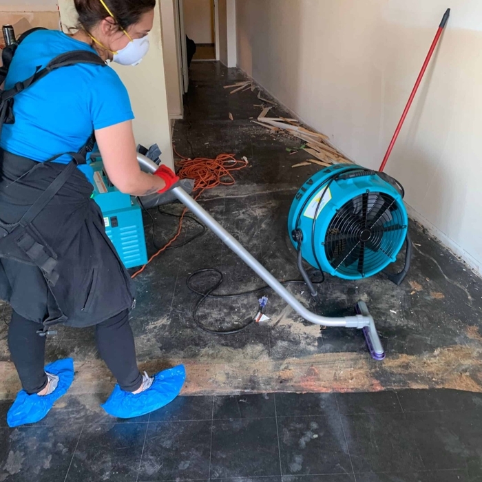 Water Restoration