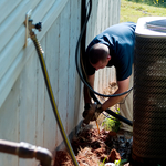 Termite Treatment
