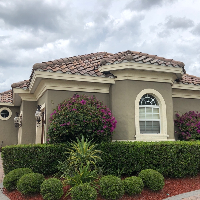 Home Exterior Painting