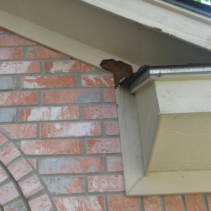 Exterior Repairs Brick Mold