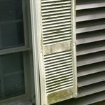 Exterior Mold