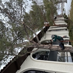 Tree Pruning