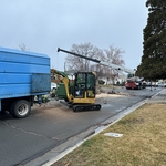 Emergency Tree Removal