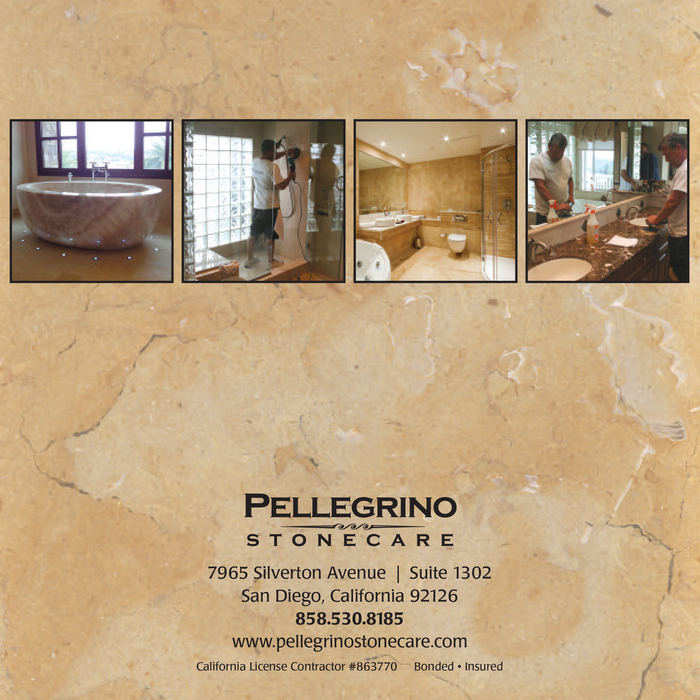 Pellegrino Stonecare Brochure
