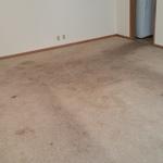 Rental Carpet