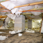 Your Crawl Space