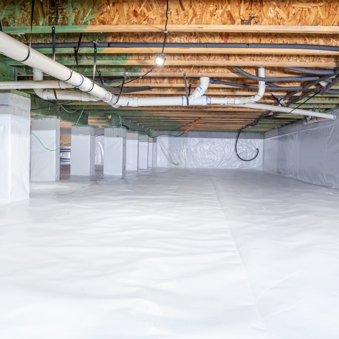 Your Crawl Space