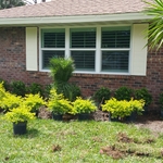 PLANTS