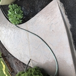 Walkway Roman Slate Stamp