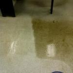 Vinyl Flooring