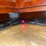 Kitchen Water Damage