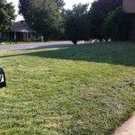 Lawn Clean Up Jobs