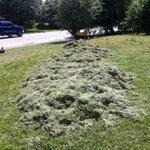 Lawn Clean Up Jobs