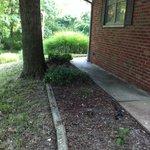 Lawn Clean Up Jobs