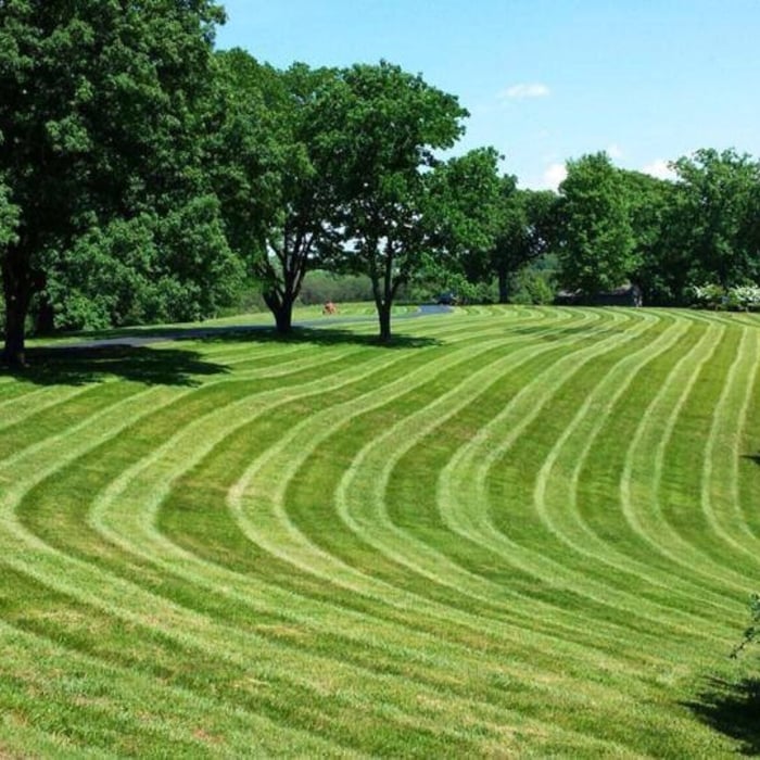 Lawncare