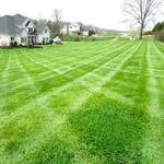 Lawncare