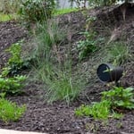 Landscape Speakers and sub