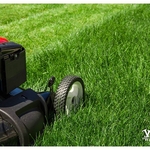 Lawn Mowing