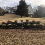 small landscape design