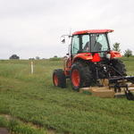 Brush mowing project