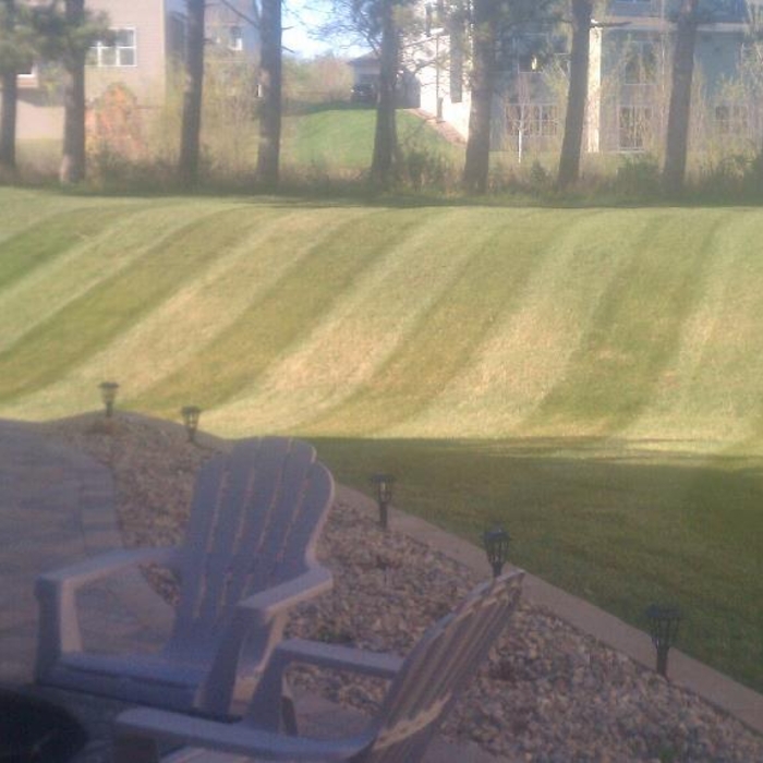 spring clean up champlin, MN