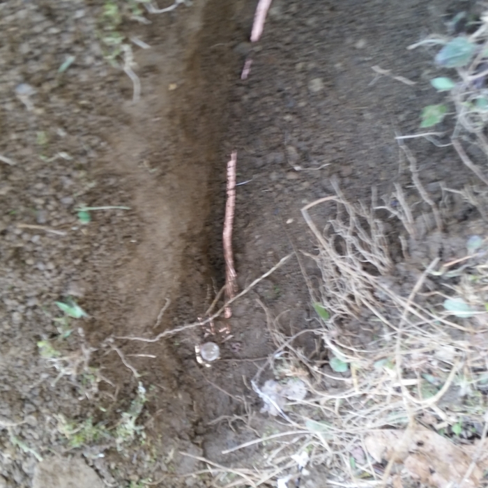 The existing service was not properly grounded